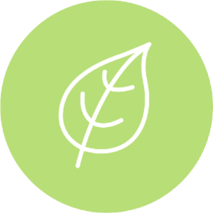 About MAC Trade Services | Sustainable Energy Experts