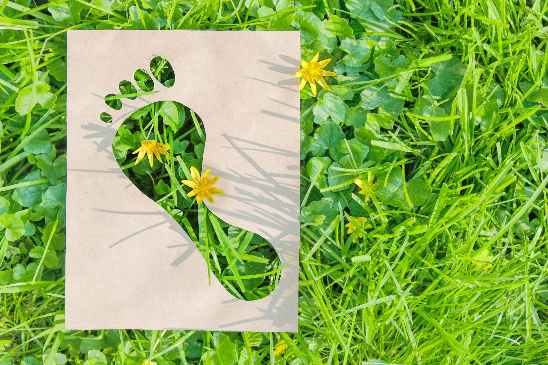 A paper with a footprint-shaped cut-out lies on green grass with yellow flowers, letting the grass show through—symbolising eco-friendly choices like an appliance rebate or solar rebate for a greener future.